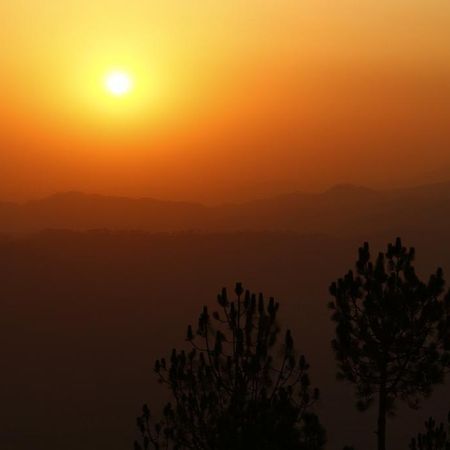 Ram Singh Mehra Guest House Almora Ngoại thất bức ảnh