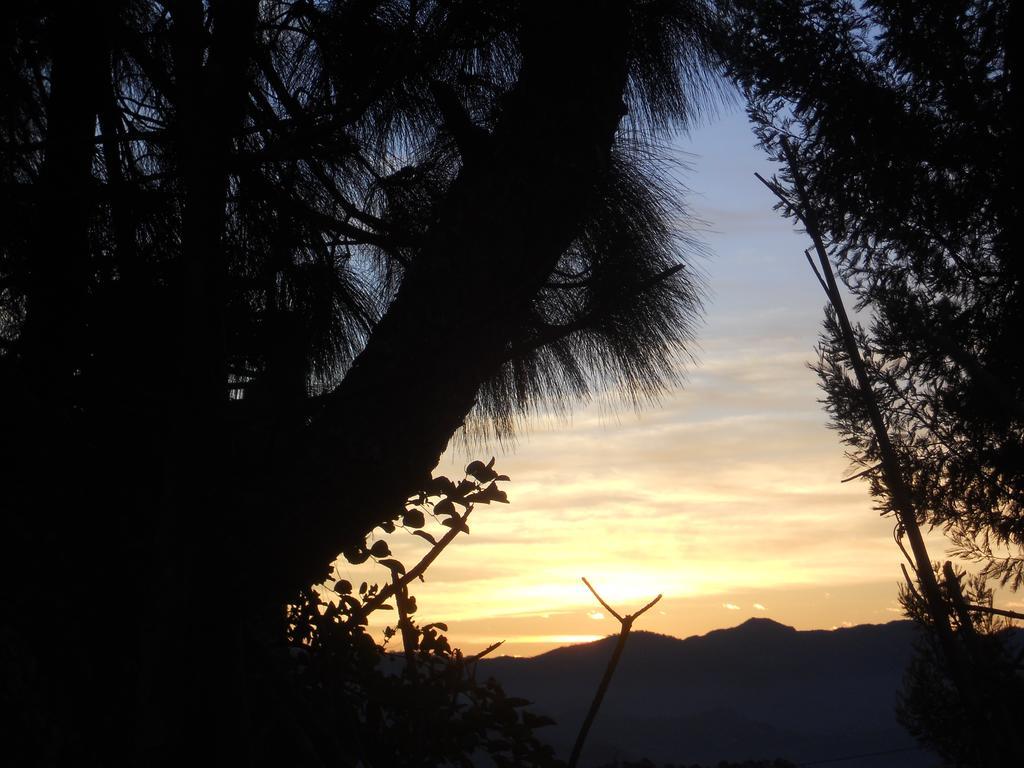 Ram Singh Mehra Guest House Almora Ngoại thất bức ảnh